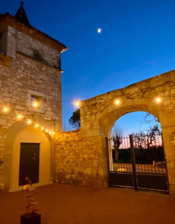 Domaine De Lejos - Portes D'Albi Lamillarié Екстериор снимка