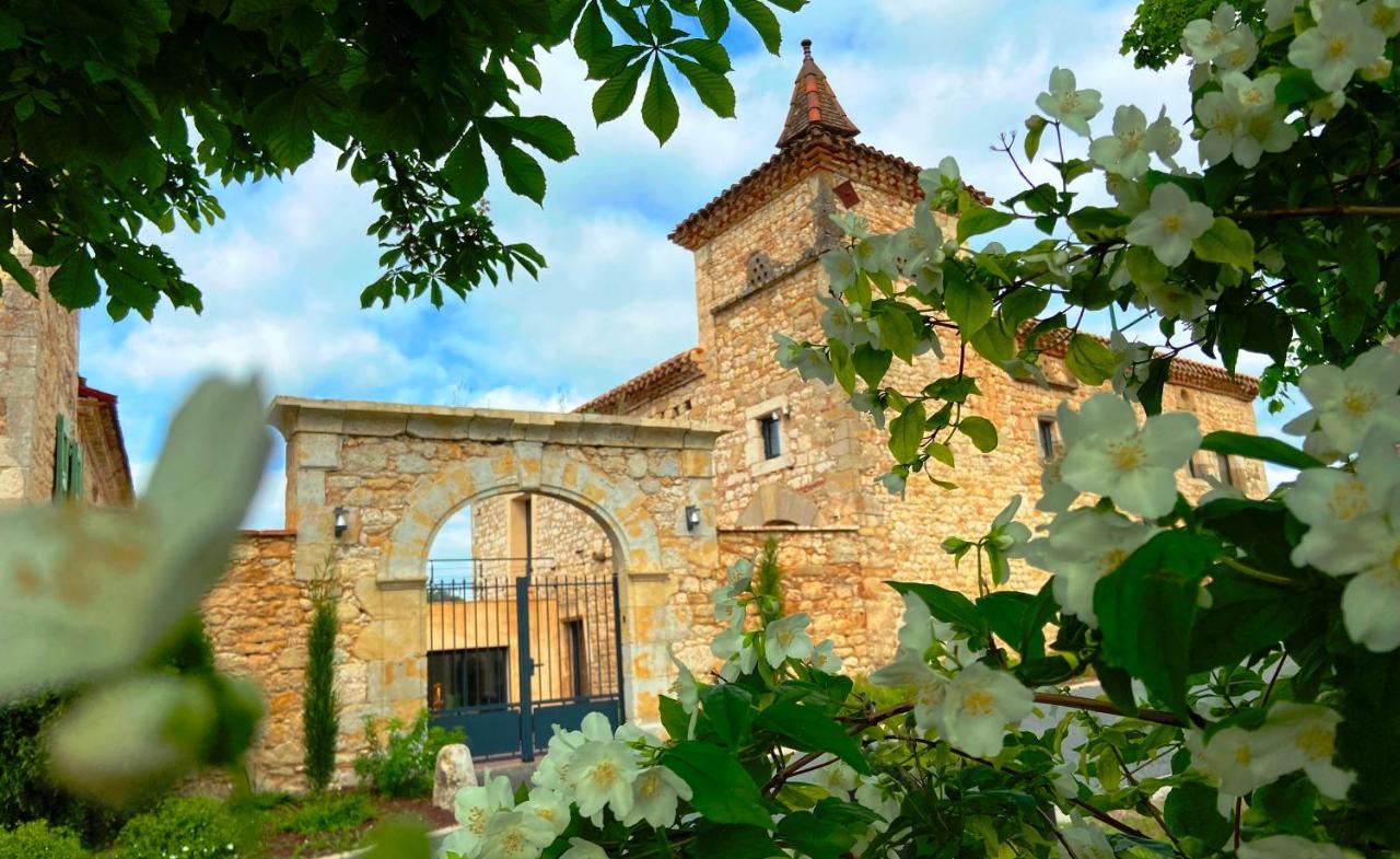 Domaine De Lejos - Portes D'Albi Lamillarié Екстериор снимка